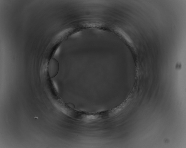 X0000101100163200807171920