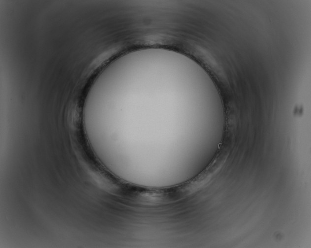 X0000101100164200807171920