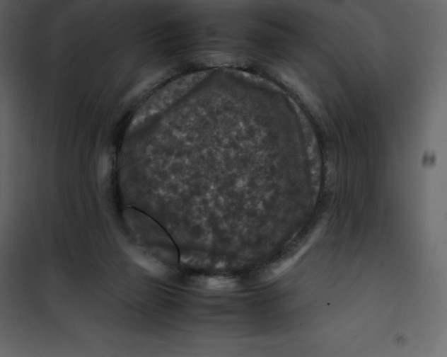 X0000101100165200807171920