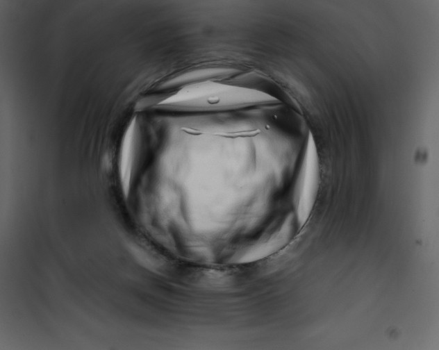 X0000101100166200807171920