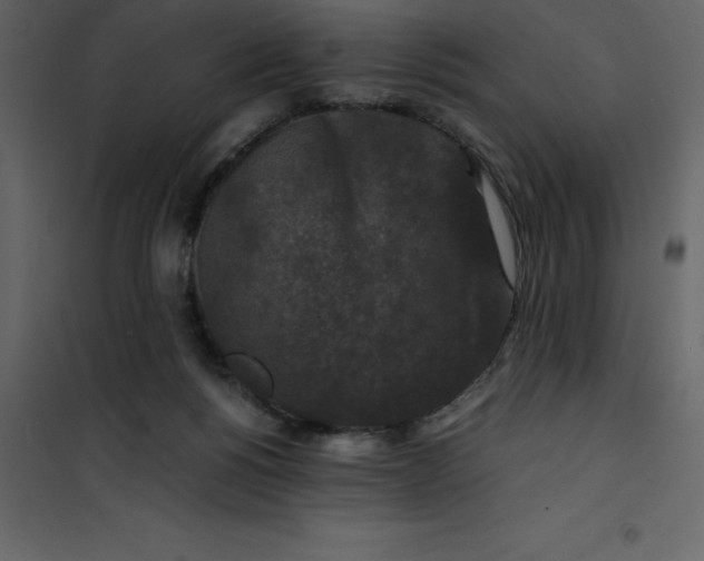 X0000101100168200807171920