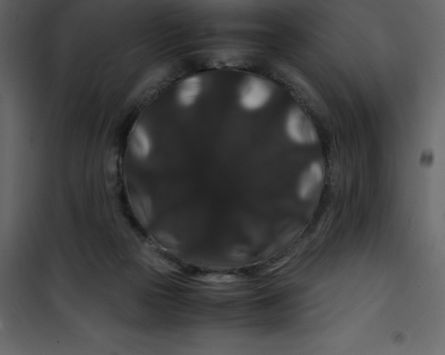 X0000101100169200807171920