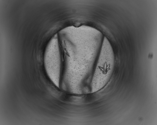 X0000101100170200807171920