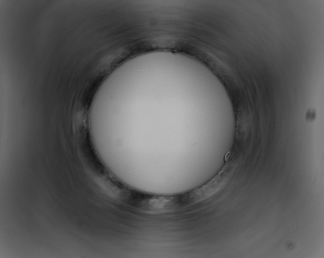 X0000101100172200807171920