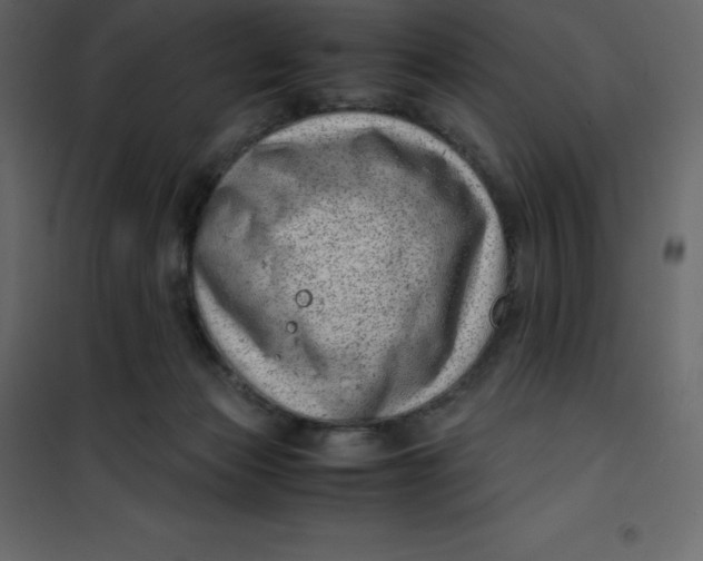 X0000101100173200807171921