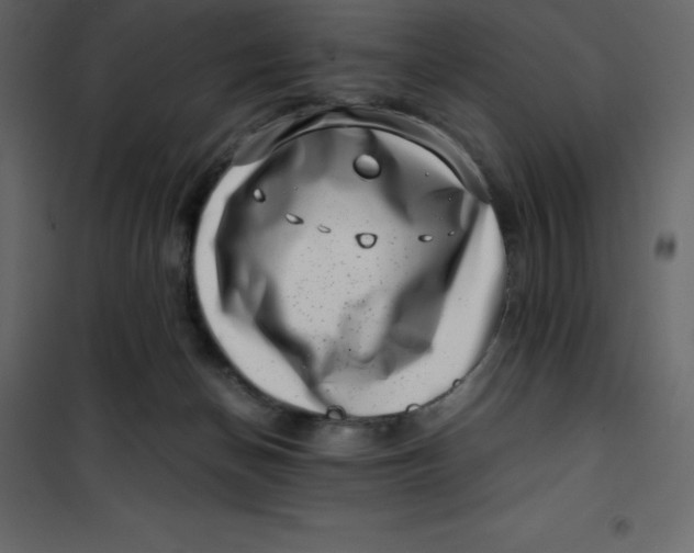 X0000101100174200807171921