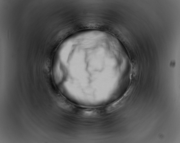 X0000101100175200807171921