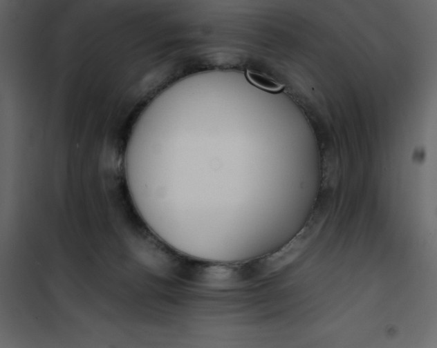 X0000101100176200807171921