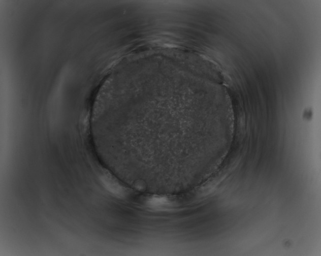 X0000101100177200807171921