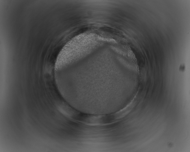 X0000101100178200807171921