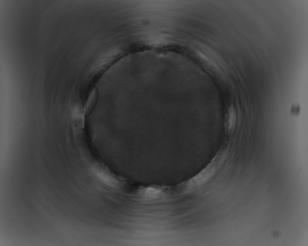 X0000101100180200807171921