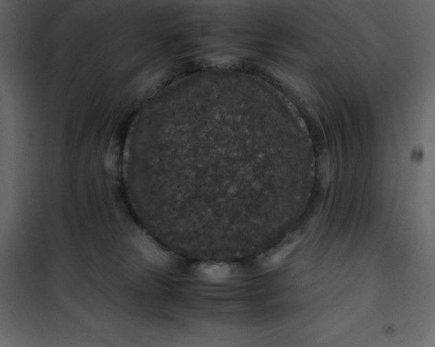 X0000101100181200807171921