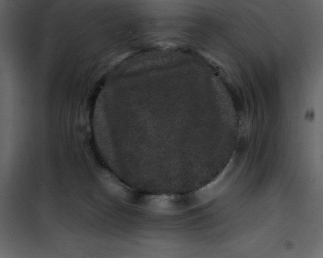 X0000101100182200807171921