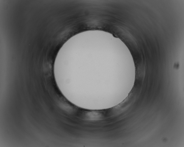 X0000101100183200807171921