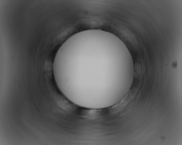 X0000101100184200807171921