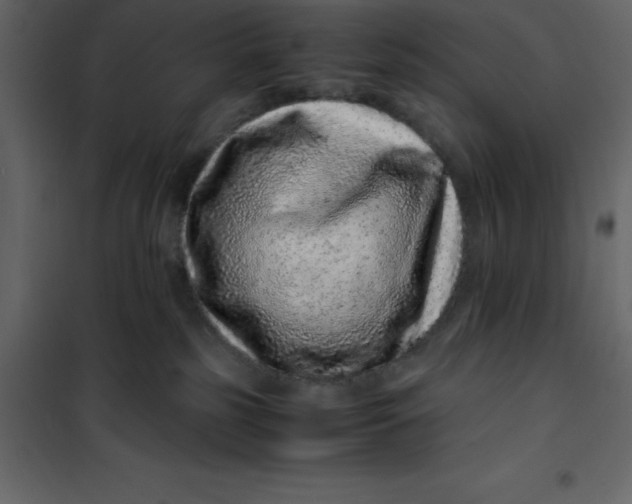 X0000101100185200807171921