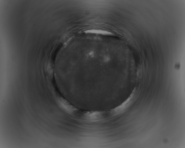 X0000101100186200807171921
