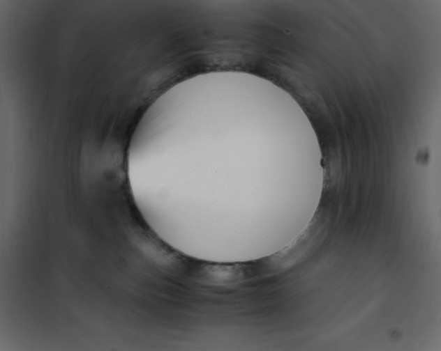 X0000101100187200807171921