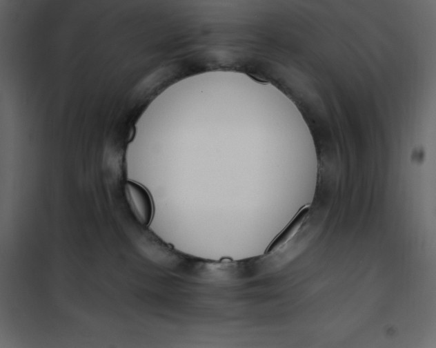 X0000101100188200807171921