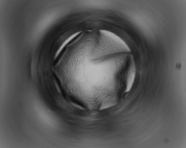 X0000101100189200807171921