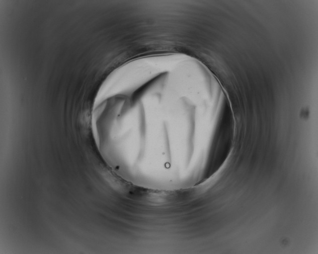 X0000101100190200807171921