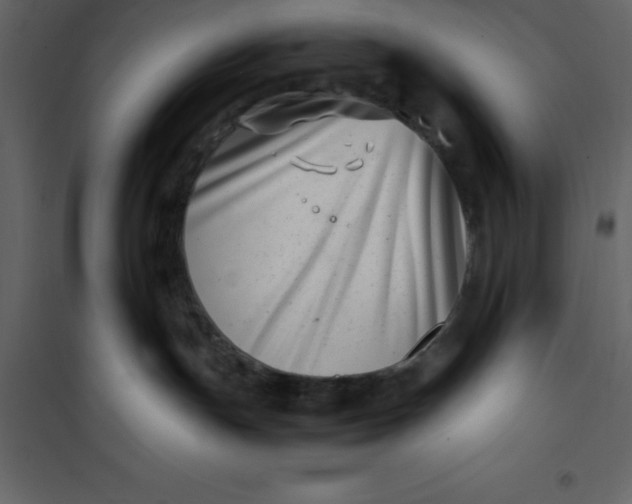 X0000101100191200807171921