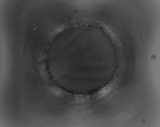 X0000101100192200807171921