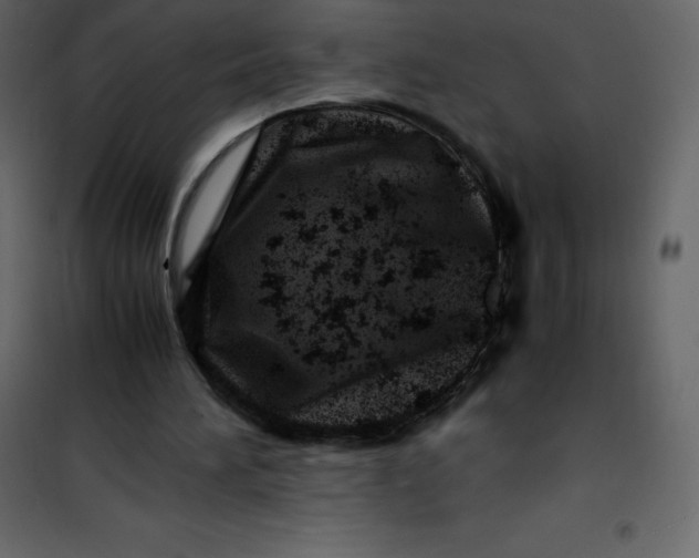 X0000101100196200807171920