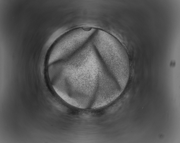 X0000101100199200807171920