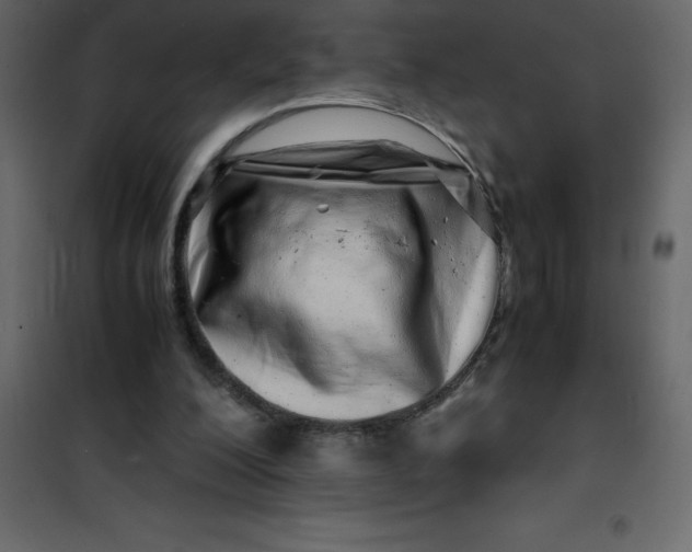 X0000101100200200807171920