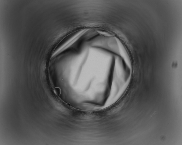 X0000101100201200807171920