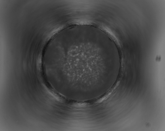 X0000101100202200807171920