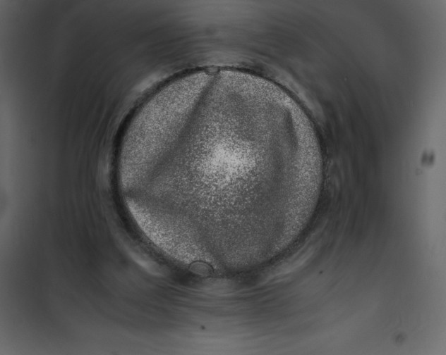 X0000101100203200807171920