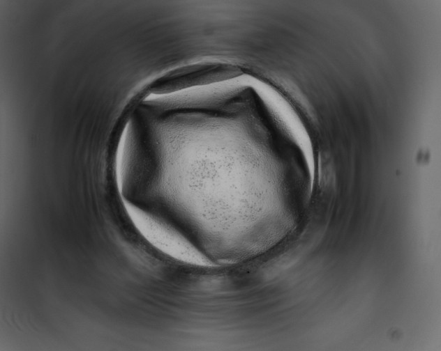 X0000101100204200807171920