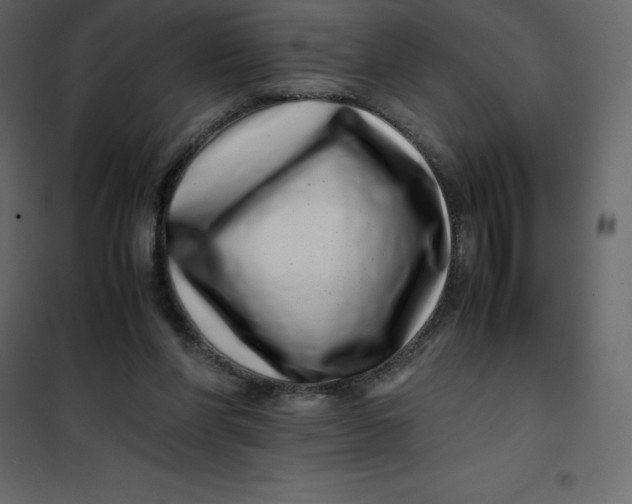 X0000101100206200807171920