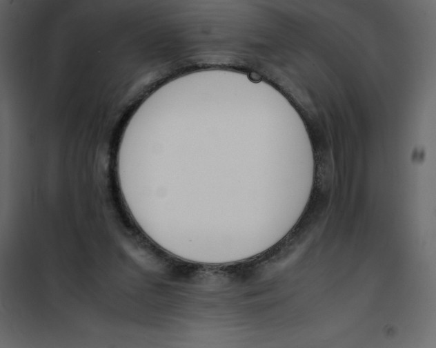 X0000101100207200807171920