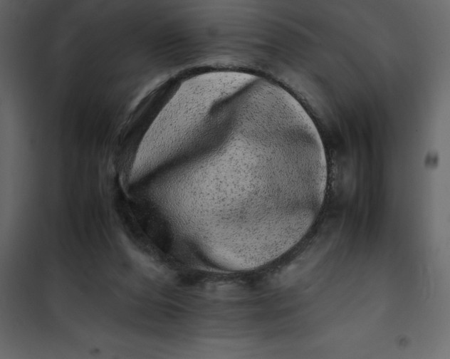 X0000101100208200807171920