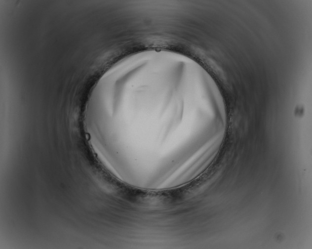 X0000101100209200807171920