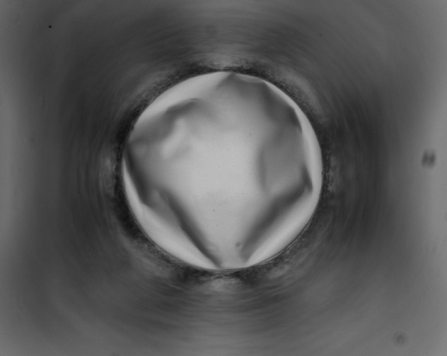 X0000101100210200807171920