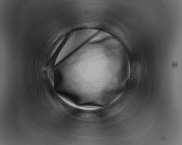 X0000101100212200807171920