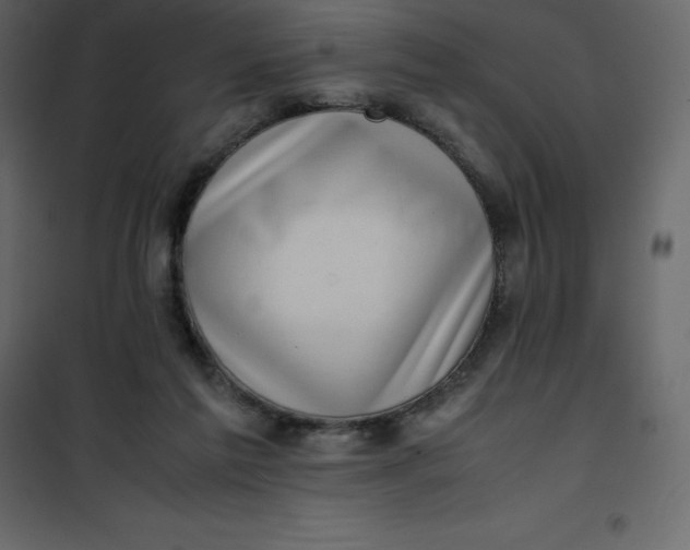 X0000101100213200807171920