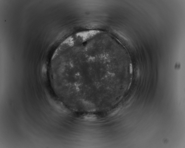 X0000101100214200807171920