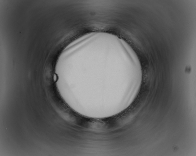 X0000101100215200807171920