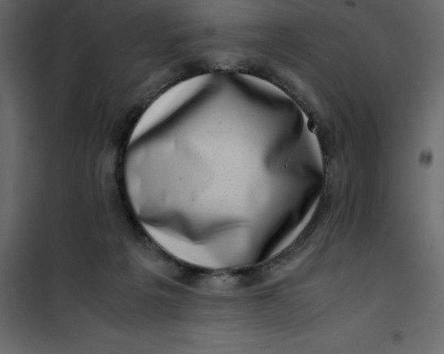 X0000101100217200807171920