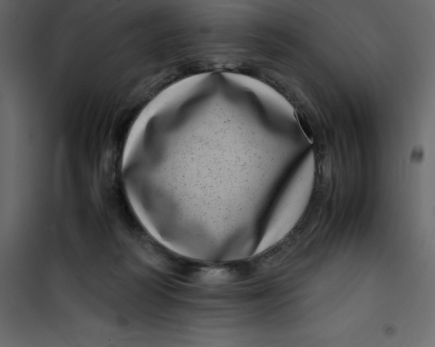 X0000101100218200807171920