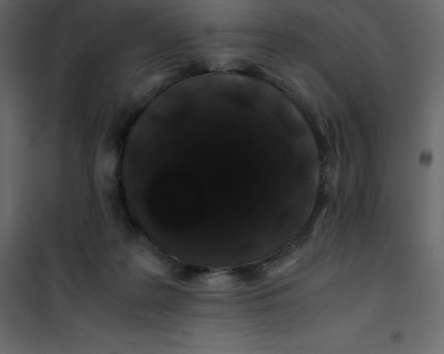 X0000101100219200807171920