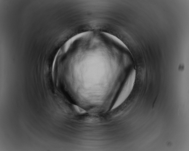 X0000101100220200807171920