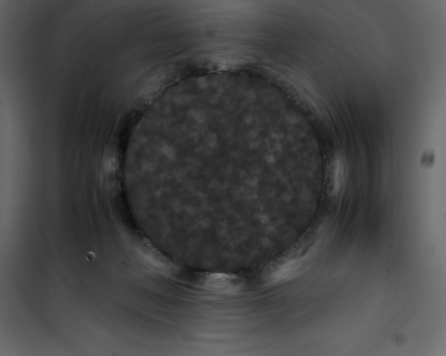 X0000101100222200807171920