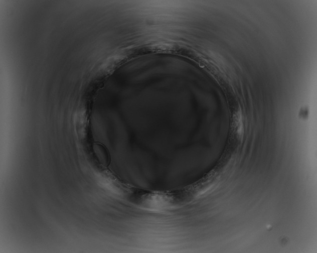 X0000101100223200807171920