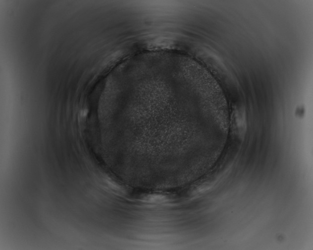 X0000101100224200807171920